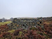 20231116_125154 Structure 4, looking NW.jpg