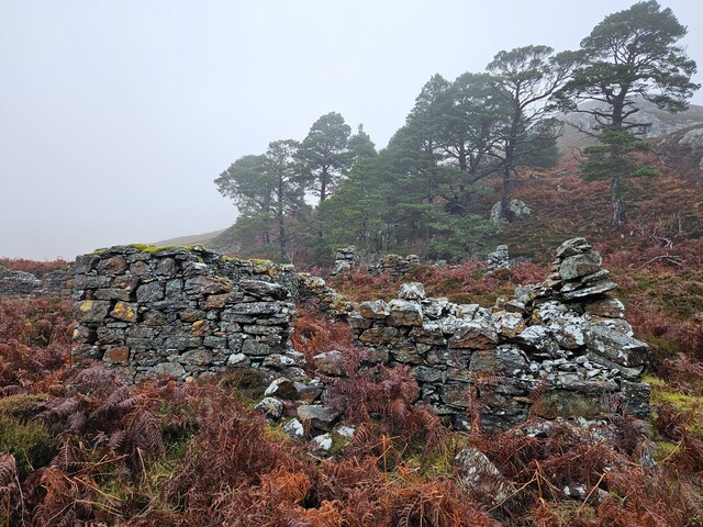 20231116_125215 Structure 4, looking N.jpg