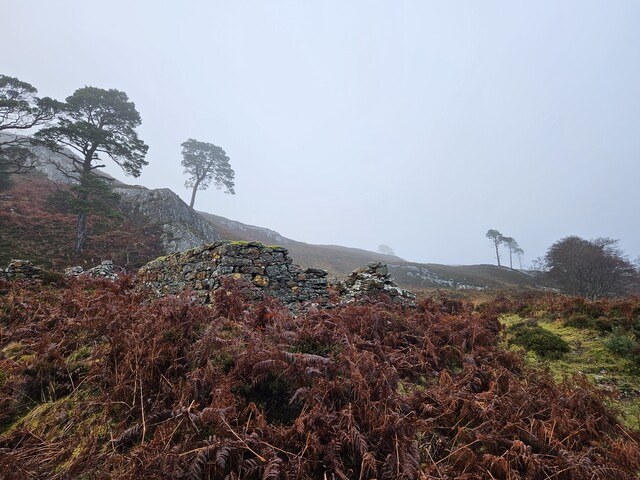 20231116_125250 Structure 4, looking NE.jpg
