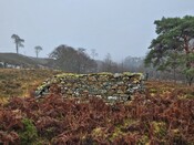 20231116_125316 Structure 4, looking E at W wall.jpg