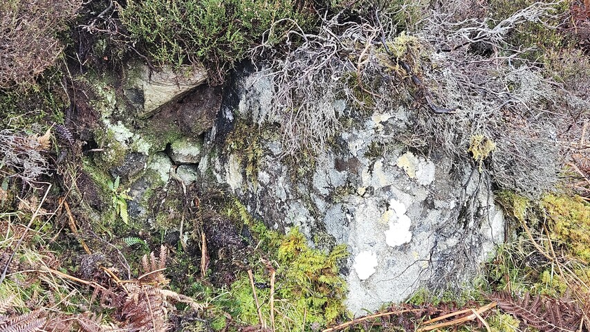 20250131_135745 Detail of stone coursework at SW corner of still.jpg