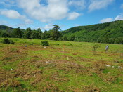 20210716_124917 Hut Circle HC04, looking NW.jpg