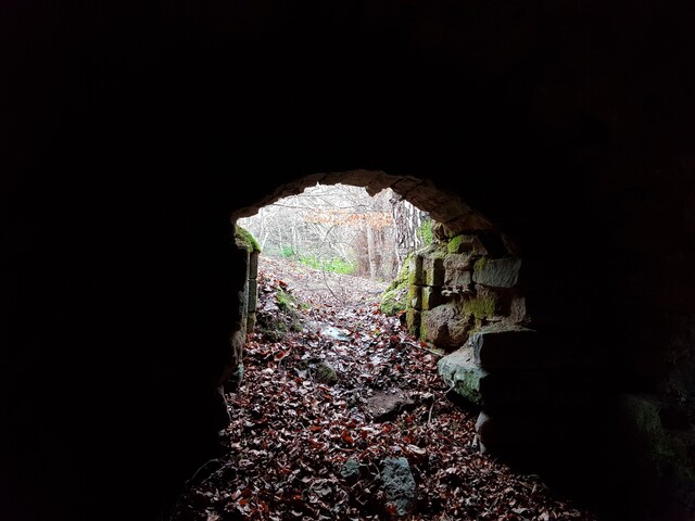 20190116_110523 Looking N through entrance of Ice House.jpg