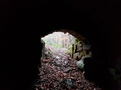 20190116_110523 Looking N through entrance of Ice House.jpg