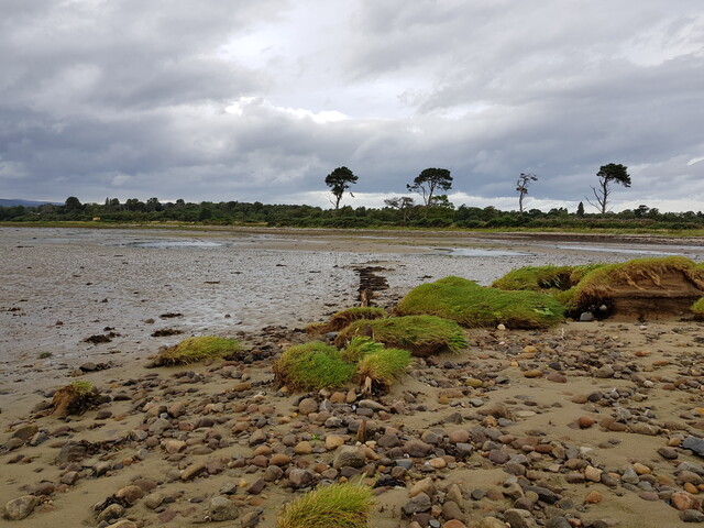 20190829_172848 Remains of Fish Trap, looking N from NH 7749 7301.jpg