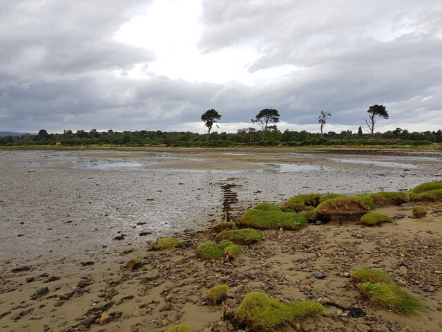 20190829_172836 Remains of Fish Trap, looking N from NH 7749 7301.jpg