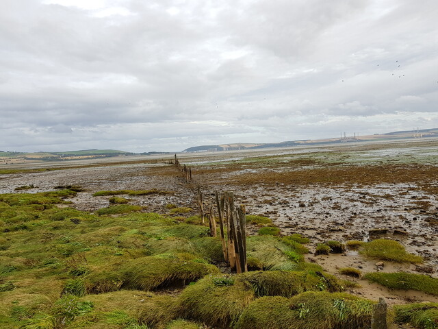 20190829_173900 Fish Trap, HER MHG50987, from north.jpg