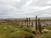 20190829_173917 Fish Trap, HER MHG50987, from north.jpg