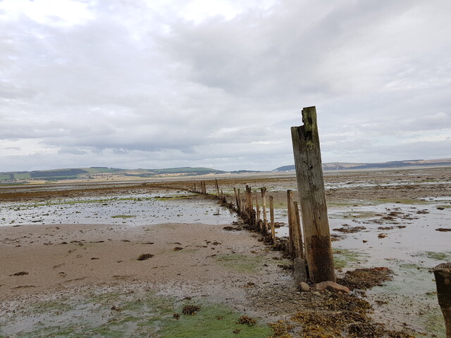 20190829_174135 Fish Trap, HER MHG50987, showing one large post.jpg