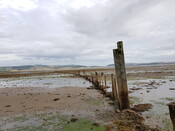 20190829_174135 Fish Trap, HER MHG50987, showing one large post.jpg