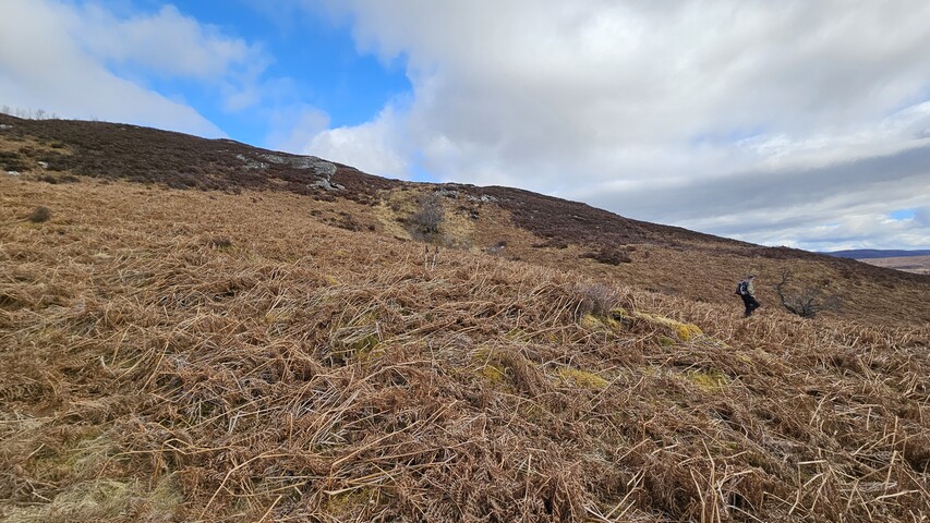 20250325_125710 Hut Circle HC06, looking NE.jpg