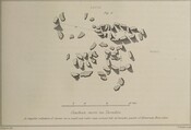 MHG29574_01.jpg