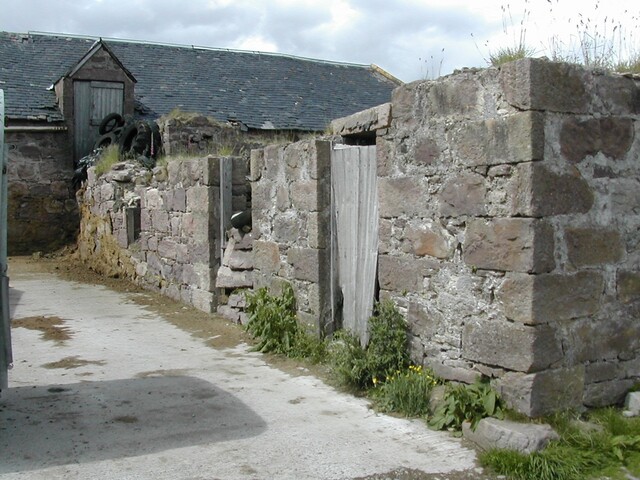 NH08NE0003 (2).JPG