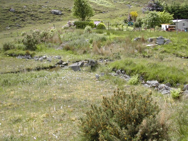 NH08NE0003 (4).JPG