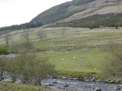 NH18NE0009.jpg