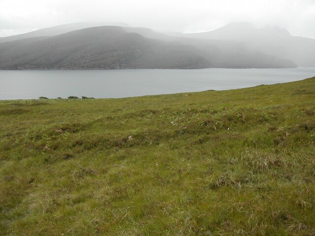 NH19NW0003 (2).JPG