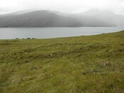 NH19NW0003 (2).JPG