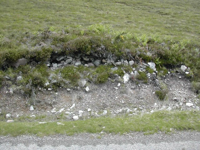 NH19NW0003 (3).JPG