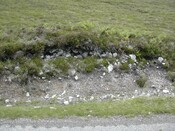 NH19NW0003 (3).JPG