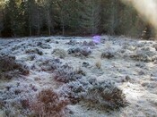 NH53NW0019DJL1.JPG