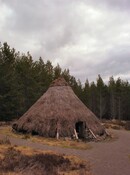 NH53NW0019DJL11.jpg