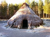 NH53NW0019DJL5.jpg