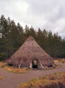 NH53NW0019DJL9.jpg