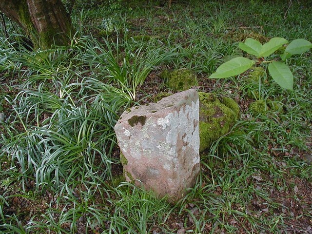 NH53SE0004 - Possible gravemarker (Sanctuary Stone).JPG