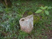 NH53SE0004 - Possible gravemarker (Sanctuary Stone).JPG