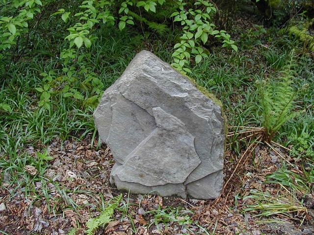 NH53SE0004 - Possible gravemarker.JPG