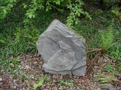 NH53SE0004 - Possible gravemarker.JPG