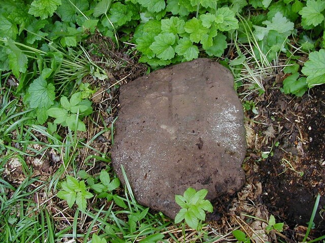 NH53SE0018 - 2.JPG