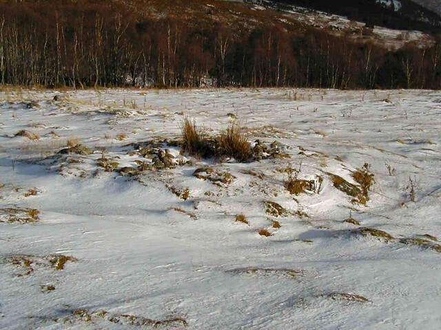 NH53SW0014DJL1.JPG