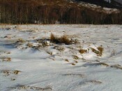 NH53SW0014DJL1.JPG