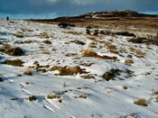 NH53SW0014DJL10.JPG