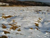 NH53SW0014DJL12.JPG