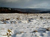 NH53SW0014DJL14.JPG