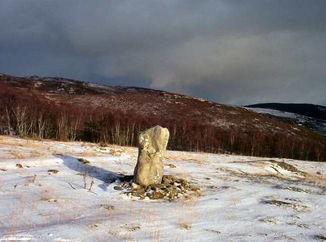 NH53SW0014DJL16.JPG
