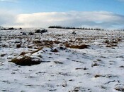 NH53SW0014DJL3.JPG