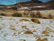 NH53SW0014DJL4.JPG