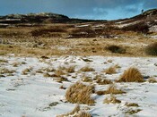NH53SW0014DJL5.JPG