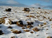 NH53SW0014DJL7.JPG