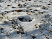NH53SW0014DJL8.JPG