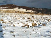 NH53SW0014DJL9.JPG