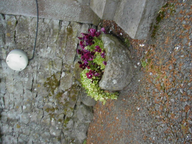 NH54NE0046HAW6.JPG