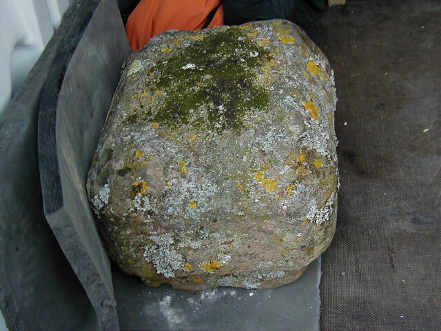 NH54NW0008conserv3.jpg