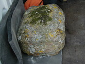 NH54NW0008conserv3.jpg