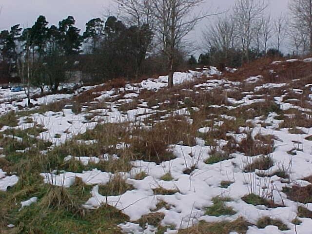 NH54NW0013 a.jpg