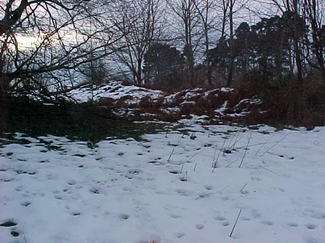NH54NW0013 b.jpg
