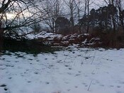 NH54NW0013 b.jpg
